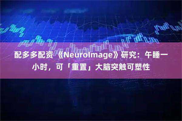 配多多配资 《NeuroImage》研究：午睡一小时，可「重置」大脑突触可塑性