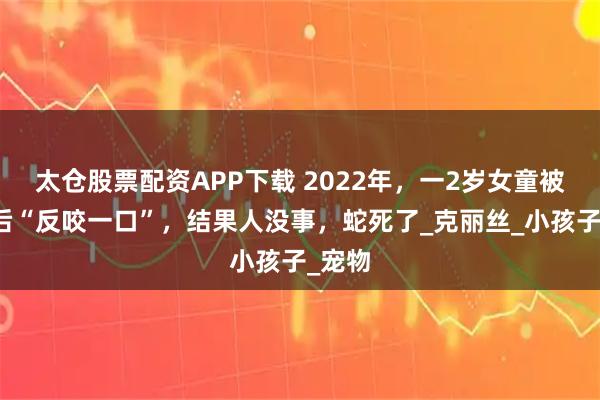 太仓股票配资APP下载 2022年，一2岁女童被蛇咬后“反咬一口”，结果人没事，蛇死了_克丽丝_小孩子_宠物