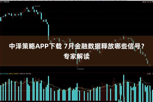 中泽策略APP下载 7月金融数据释放哪些信号？专家解读